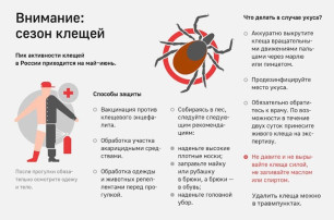 ❗Внимание: сезон клещей! Помните: своевременное предупреждение и соблюдение мер предосторожности – лучшая защита от клещевых инфекций. ❗Внимание: сезон клещей! Помните: своевременное предупреждение и соблюдение мер предосторожности – лучшая защита от клещевых инфекций.